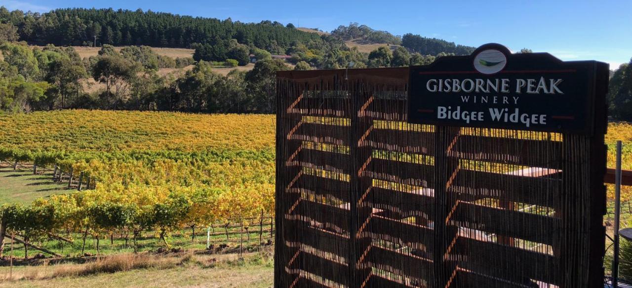 Gisborne Peak Winery Short Term Stays Extérieur photo