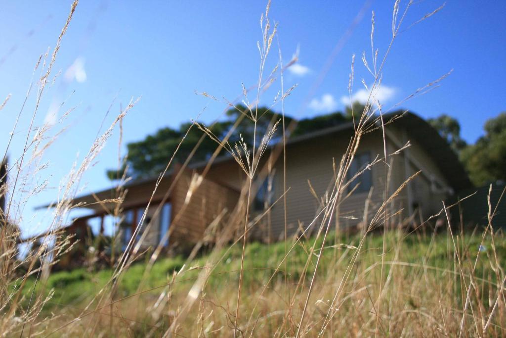 Gisborne Peak Winery Short Term Stays Chambre photo