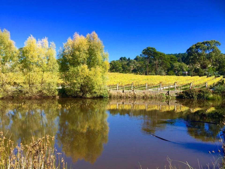Gisborne Peak Winery Short Term Stays Extérieur photo