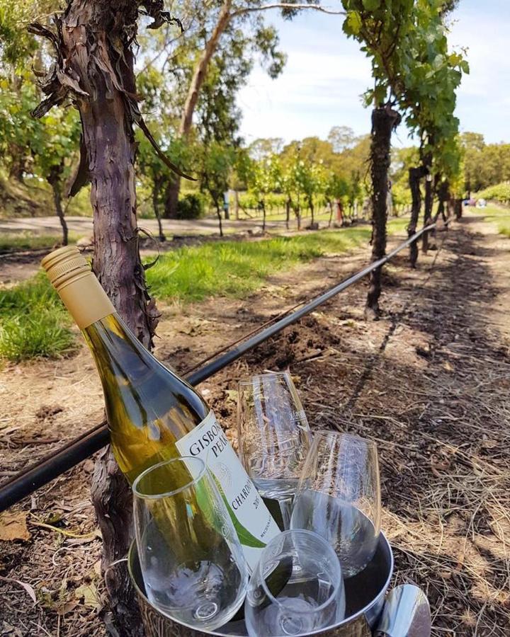 Gisborne Peak Winery Short Term Stays Extérieur photo