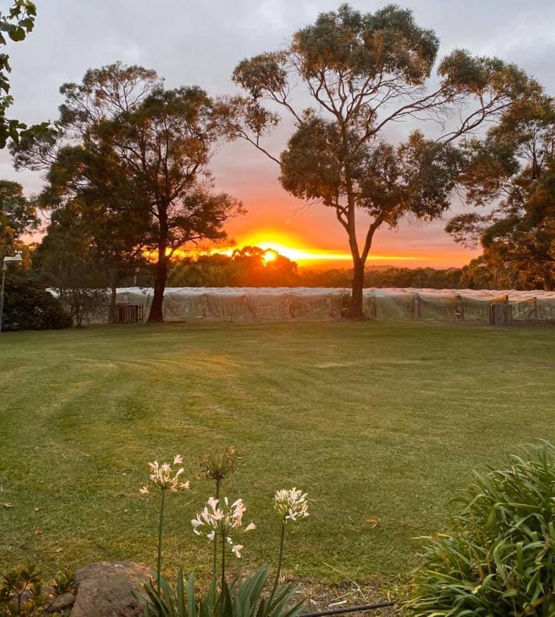 Gisborne Peak Winery Short Term Stays Extérieur photo