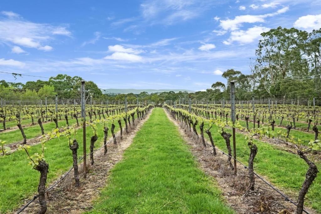 Gisborne Peak Winery Short Term Stays Extérieur photo