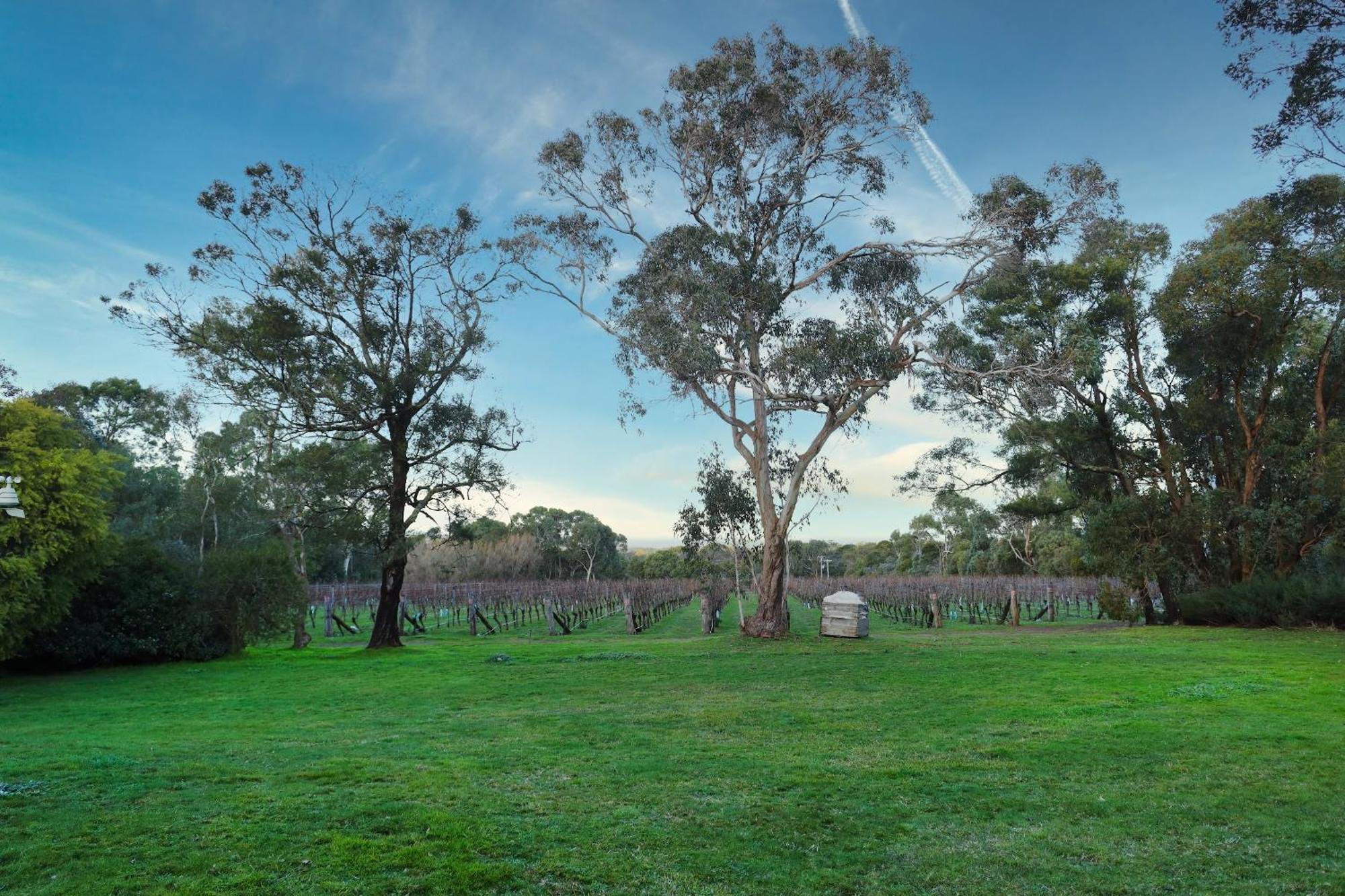 Gisborne Peak Winery Short Term Stays Extérieur photo