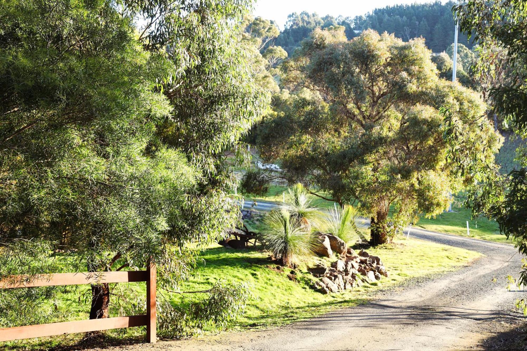 Gisborne Peak Winery Short Term Stays Extérieur photo